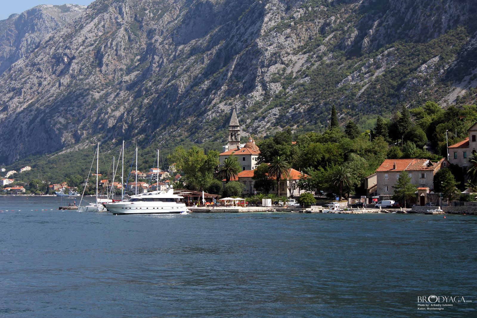 Kotor
